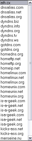 Server name suffixes screenshot